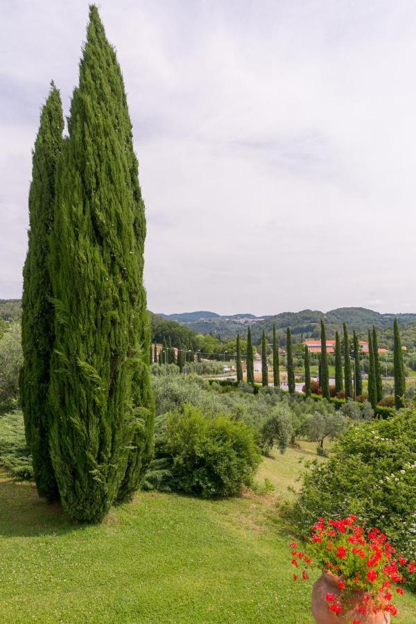 Villa Ligustro Riparbella Kültér fotó